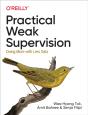 Practical Weak Supervision - Preview