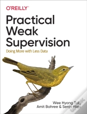 Capa do artigo Practical Weak Supervision