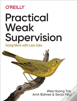 Capa do artigo Practical Weak Supervision