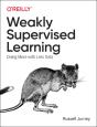Practical Weak Supervision - Preview