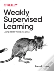 Capa do artigo Practical Weak Supervision