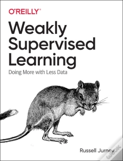 Capa do artigo Practical Weak Supervision