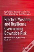 Practical Wisdom And Resilience Overcoming Downside Risk