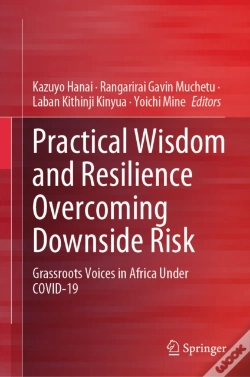 Capa do artigo Practical Wisdom And Resilience Overcoming Downside Risk