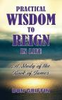 Practical Wisdom To Reign In Life - Preview