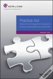 Capa do artigo Practice Aid: Enterprise Risk Management