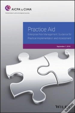 Capa do artigo Practice Aid: Enterprise Risk Management