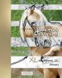 Practice Drawing - Xl Workbook 11 - Preview