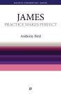 Practice Makes Perfect - James : The Book Of James Simply Explained - Preview