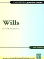 Practice Notes On Wills - Preview