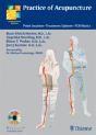 Practice Of Acupuncture - Preview