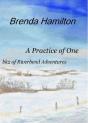 Practice Of One - Preview