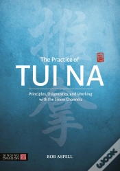 Capa do artigo Practice Of Tui Na