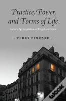 Practice, Power, And Forms Of Life