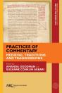 Practices Of Commentary - Preview