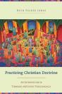 Practicing Christian Doctrine - Preview