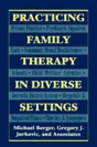 Practicing Family Therapy In Diverse Settings - Preview