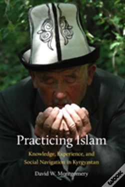 Capa do artigo Practicing Islam
