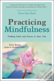 Capa do artigo Practicing Mindfulness