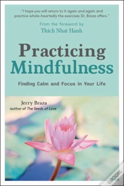 Capa do artigo Practicing Mindfulness