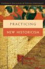 Practicing New Historicism - Preview