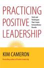 Practicing Positive Leadership - Preview