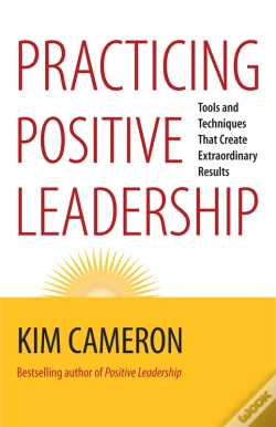 Capa do artigo Practicing Positive Leadership