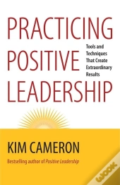 Practicing Positive Leadership; Tools And Techniques That Create Extraordinary Results