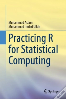 Capa do artigo Practicing R For Statistical Computing
