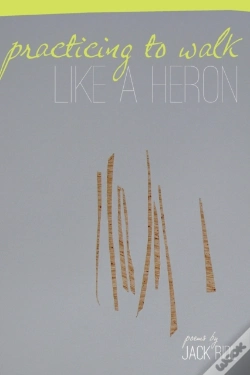 Capa do artigo Practicing To Walk Like A Heron