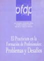 Practicum En La Formacion De Profesionales, El - Preview