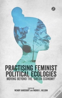 Capa do artigo Practising Feminist Political Ecologies