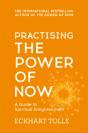 Practising The Power Of Now - Preview