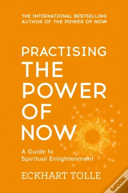 Capa do artigo Practising The Power Of Now