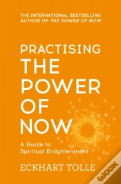 Capa do artigo Practising The Power Of Now