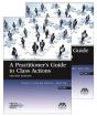 Practitioner S Guide Class Actions 2e - Preview
