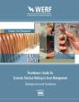 Practitioner'S Guide To Economic Decision Making In Asset Management - Preview
