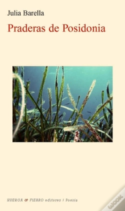 Capa do artigo Praderas De Posidonia