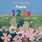 Capa do artigo Prairie 123s