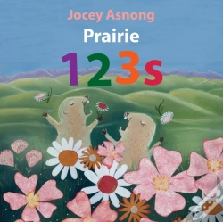 Capa do artigo Prairie 123s