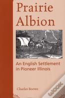 Prairie Albion