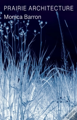 Capa do artigo Prairie Architecture