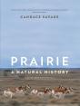 Prairie - Preview