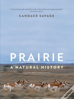 Capa do artigo Prairie