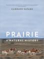 Prairie - Preview
