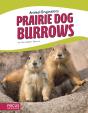 Prairie Dog Burrows - Preview