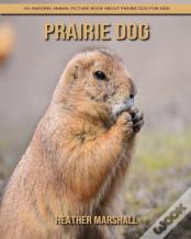 Prairie Dog