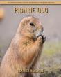 Prairie Dog - Preview