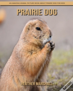 Capa do artigo Prairie Dog
