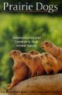Prairie Dogs - Preview